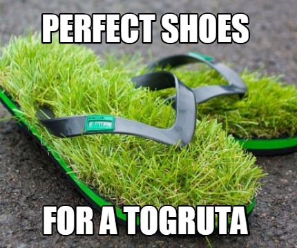 Meme Creator - Funny Perfect Shoes For a Togruta Meme Generator at ...