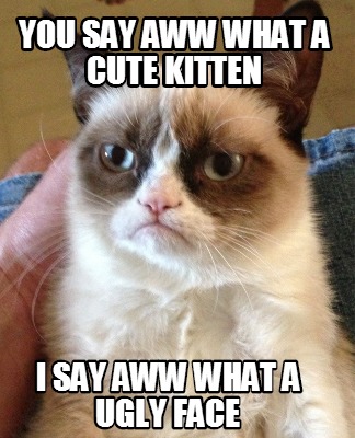 Meme Creator - Funny you say aww what a cute kitten I say aww what a ...