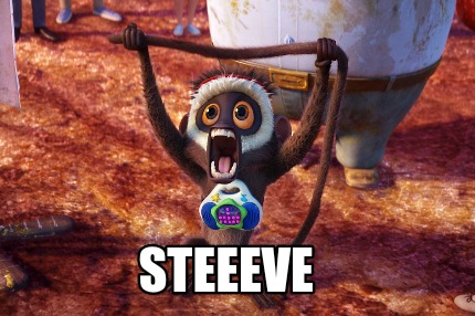 steeeve