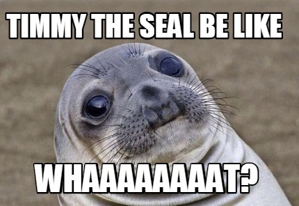 Meme Creator - Funny timmy the seal be like whaaaaaaaat? Meme Generator ...