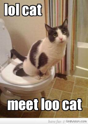 Meme Creator - Funny lol cat meet loo cat Meme Generator at MemeCreator ...