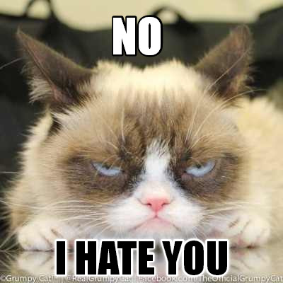 Meme Creator - Funny NO I HATE YOU Meme Generator at MemeCreator.org!