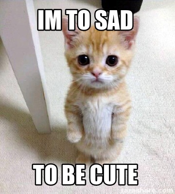 Meme Creator - Funny Im to sad to be cute Meme Generator at MemeCreator ...