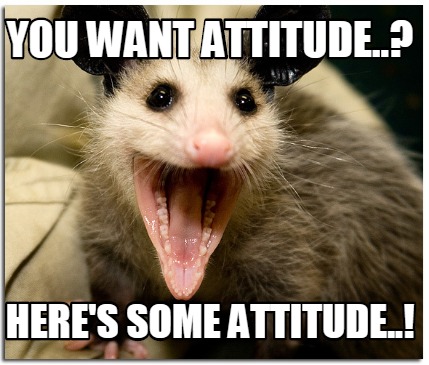 Meme Creator - Funny You want attitude..? Here's some attitude..! Meme ...