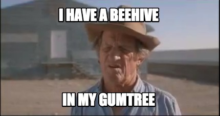 i-have-a-beehive-in-my-gumtree