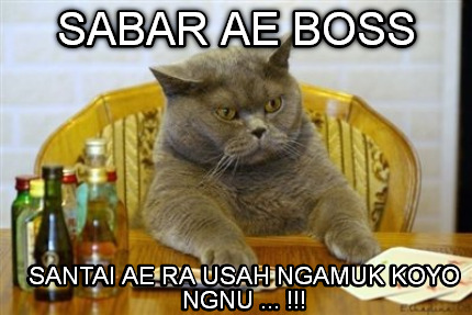 29+ Cat Memes Boss - Factory Memes