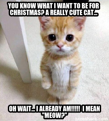 Christmas Already Meme - Russell Whitaker