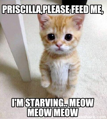 Meme Creator - Funny Priscilla,Please Feed Me, I'm Starving.. Meow Meow ...