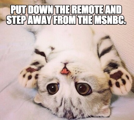 put-down-the-remote-and-step-away-from-the-msnbc