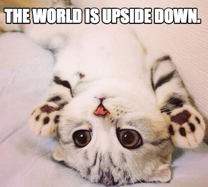 the-world-is-upside-down