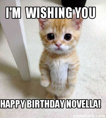 Meme Creator - Funny I'm Wishing You Happy Birthday Novella! Meme 