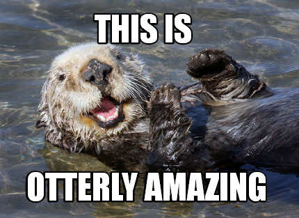 Meme Creator - Funny This is otterly amazing Meme Generator at ...