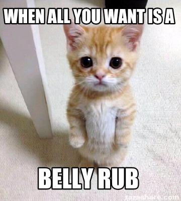 belly rubs meme