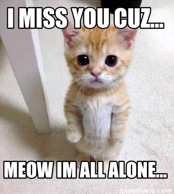 Meme Creator Funny I Miss You Cuz Meow Im All Alone Meme