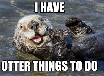 Meme Creator - Funny I have Otter things to do Meme Generator at ...