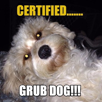 certified.......-grub-dog