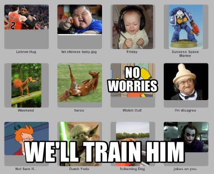 no-worries-well-train-him