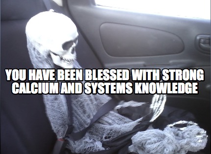 you-have-been-blessed-with-strong-calcium-and-systems-knowledge