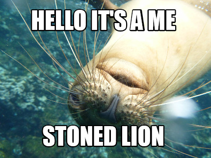 hello-its-a-me-stoned-lion