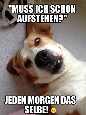 Meme Creator - Funny Guten Morgen kleiner Meme Generator at MemeCreator ...