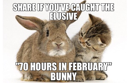 share-if-youve-caught-the-elusive-70-hours-in-february-bunny