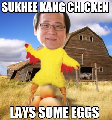 sukhee-kang-chicken-lays-some-eggs