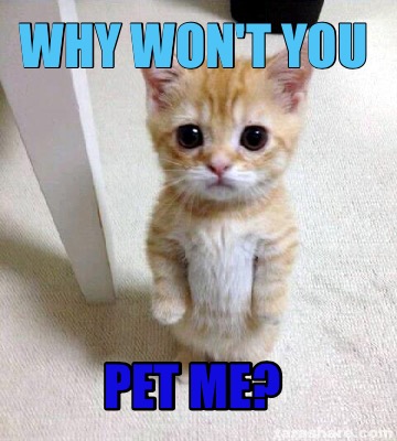 Meme Creator - Funny Why won't you Pet me? Meme Generator at ...