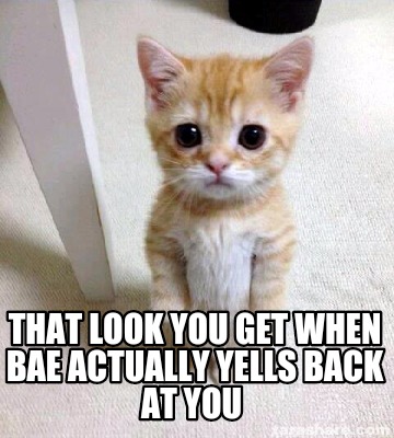 Meme Creator - Funny That look you get when bae actually yells back at ...