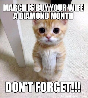 buy your wife