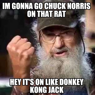 Meme Creator - Funny Im gonna go chuck norris on that rat Hey it's on ...