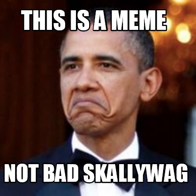 Meme Creator - Funny this is a meme not bad skallywag Meme Generator at ...