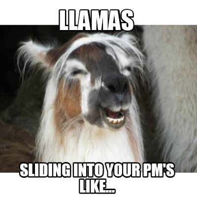 Meme Creator - Funny Llamas sliding into your pm's like... Meme ...