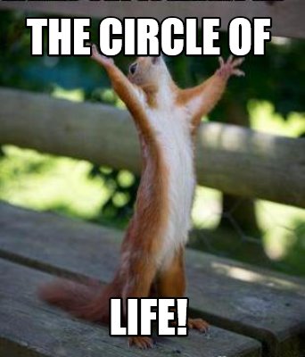 Meme Creator Funny The Circle Of Life Meme Generator At Memecreator Org