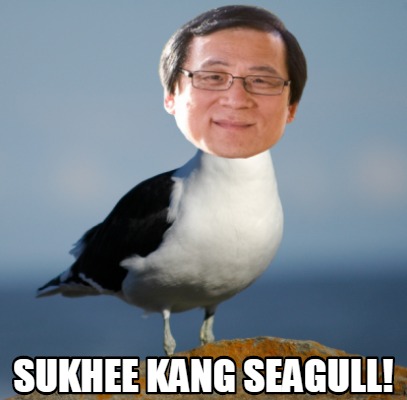 sukhee-kang-seagull9