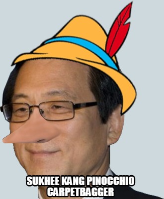 sukhee-kang-pinocchio-carpetbagger4