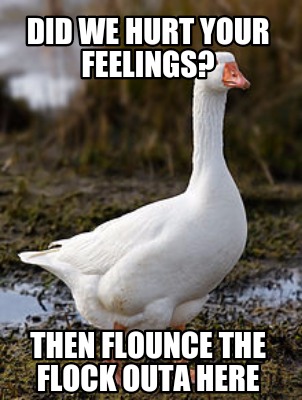 Meme Creator - Funny Did we hurt your feelings? Then flounce the flock ...