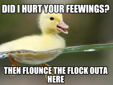 did-i-hurt-your-feewings-then-flounce-the-flock-outa-here