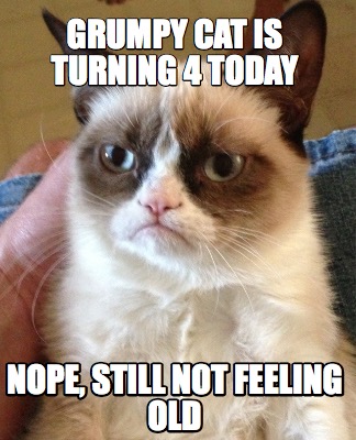 Meme Creator - Funny Grumpy Cat is turning 4 today Nope, still not ...