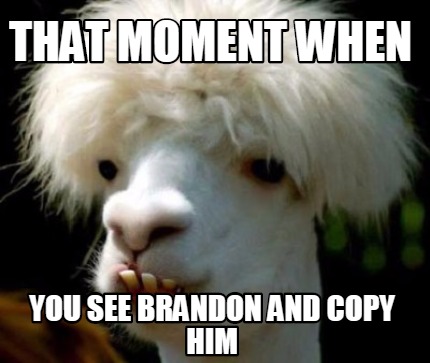 that-moment-when-you-see-brandon-and-copy-him