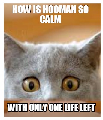 how-is-hooman-so-calm-with-only-one-life-left