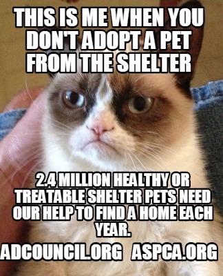 Meme Creator Funny This Is Me When You Don T Adopt A Pet From The Shelter Adcouncil Org Aspca Org Meme Generator At Memecreator Org