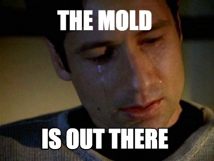 the-mold-is-out-there