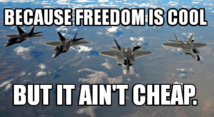 because-freedom-is-cool-but-it-aint-cheap