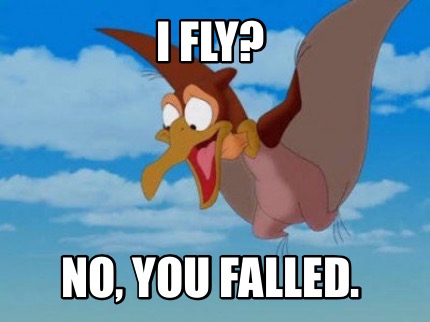 i-fly-no-you-falled3