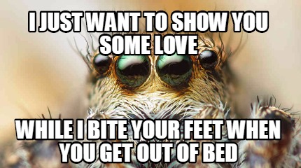 i-just-want-to-show-you-some-love-while-i-bite-your-feet-when-you-get-out-of-bed