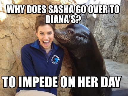 why-does-sasha-go-over-to-dianas-to-impede-on-her-day