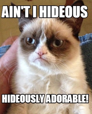 Meme Creator - Funny Ain't I Hideous Hideously Adorable! Meme Generator 