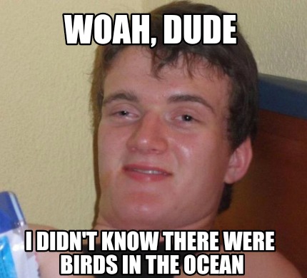 Meme Creator - Funny Woah, dude I didn't know there were Birds in the ...
