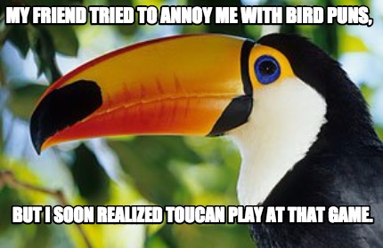 my-friend-tried-to-annoy-me-with-bird-puns-but-i-soon-realized-toucan-play-at-th