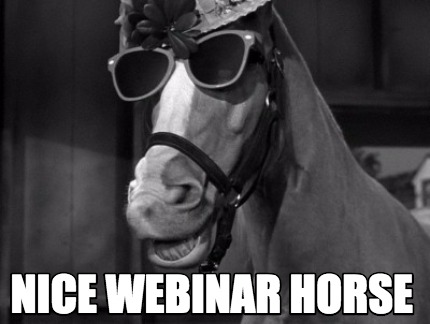 nice-webinar-horse